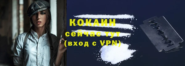 соль ск Снежногорск