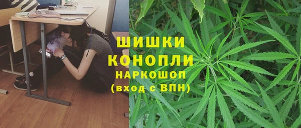 соль ск Снежногорск